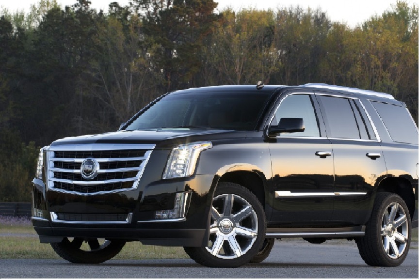 On The Trail of 6 Best Foods in North America